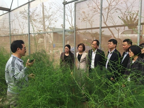 Ban Kinh tế - Ngân sách: Khảo sát các cơ sở sản xuất, kinh doanh sản phẩm nông nghiệp theo chuỗi giá trị